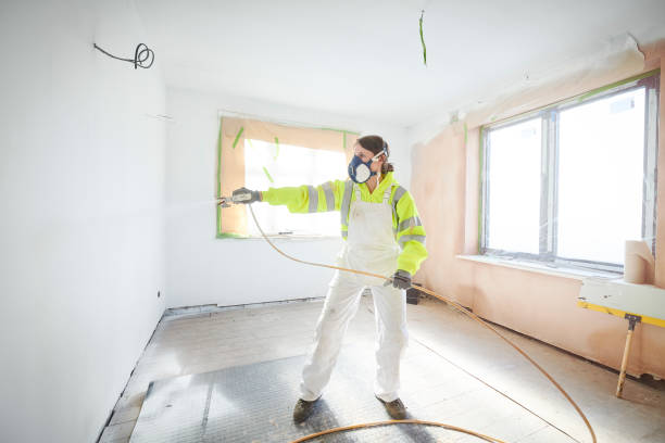 Best Mold Documentation for Insurance Claims  in St Johns, MI