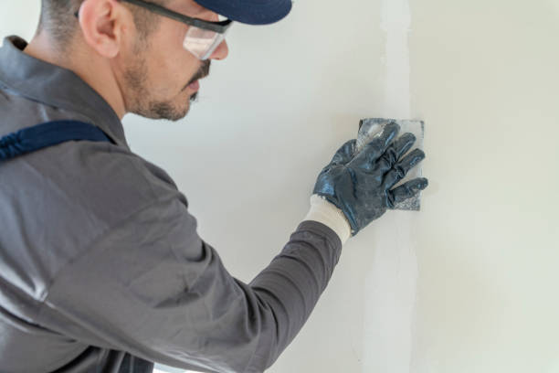 Best Mold Prevention Services  in St Johns, MI