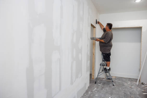 Best Mold Removal for HVAC Installations  in St Johns, MI