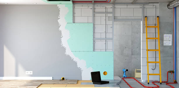 Trusted St Johns, MI Mold Removal Experts