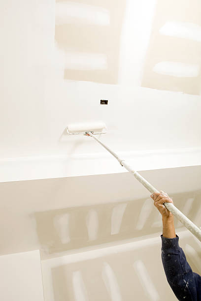 Best Biohazard Mold Removal  in St Johns, MI