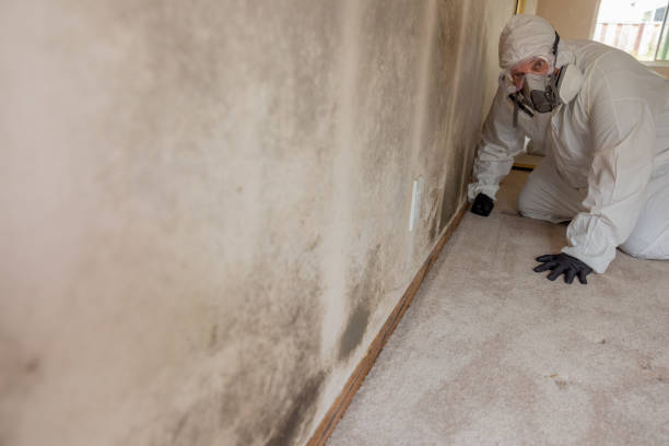 Mold Remediation for Vacation Homes in St Johns, MI